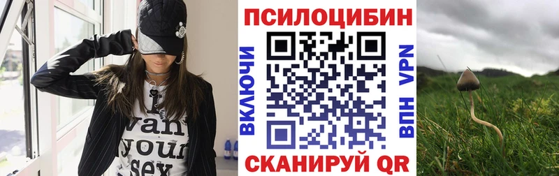 Галлюциногенные грибы Cubensis  наркота  Орск 